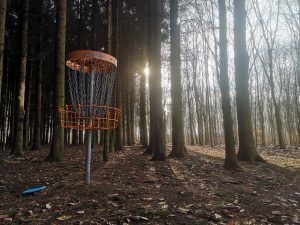 Disc Golf Basket