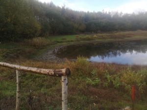 Sorø Disc Golf Bane