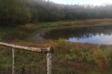 Sorø Disc Golf Bane