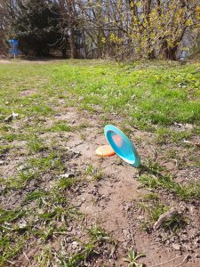 Disc golf ordbog tombstone