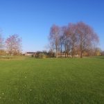 Viby Åpark Disc Golf Bane