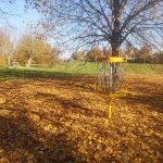 Viby Åpark Disc Golf Bane