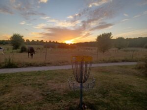 Bolderslev Disc Golf Bane Sydjylland