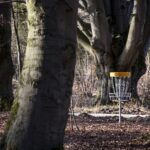 Disc Golf Basket